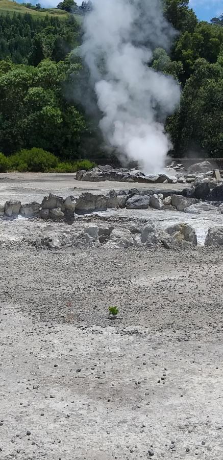 The Furnas Azores House